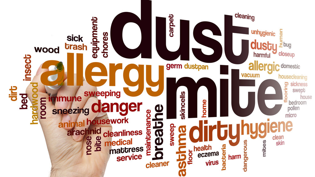 Dust And Clutter